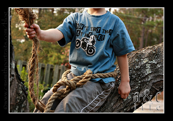 jessetree1-022 jessetree1-022